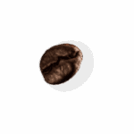 demo-attachment-28-coffee-beans-P4MXYZD2-1